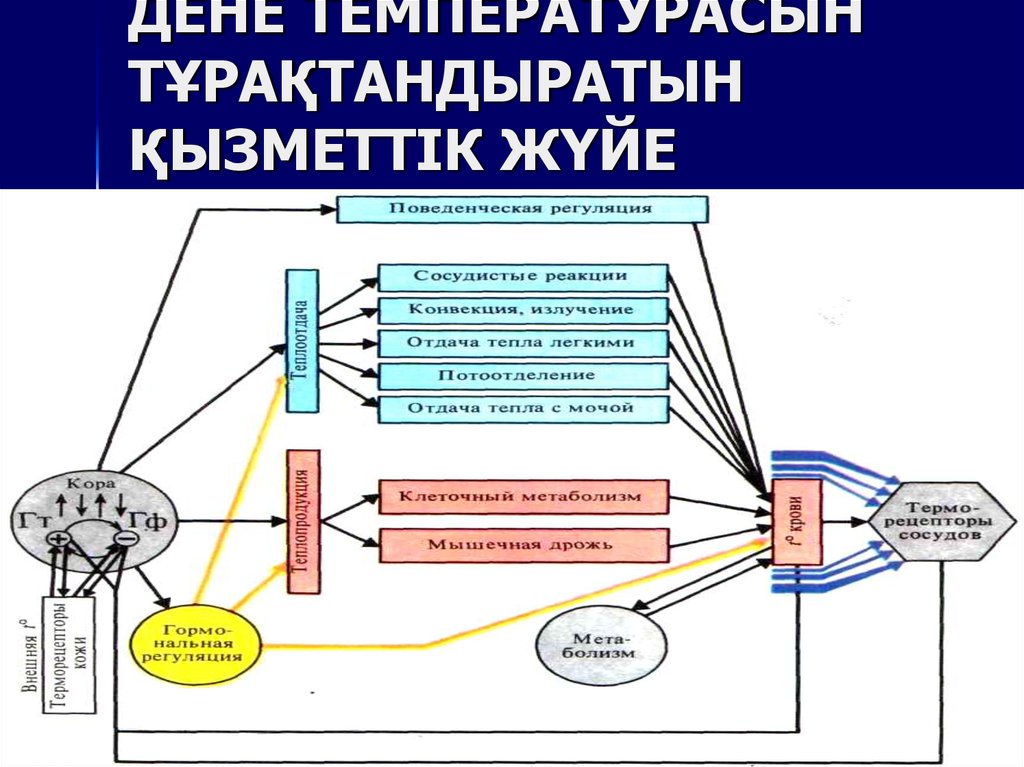 Дене температурасы