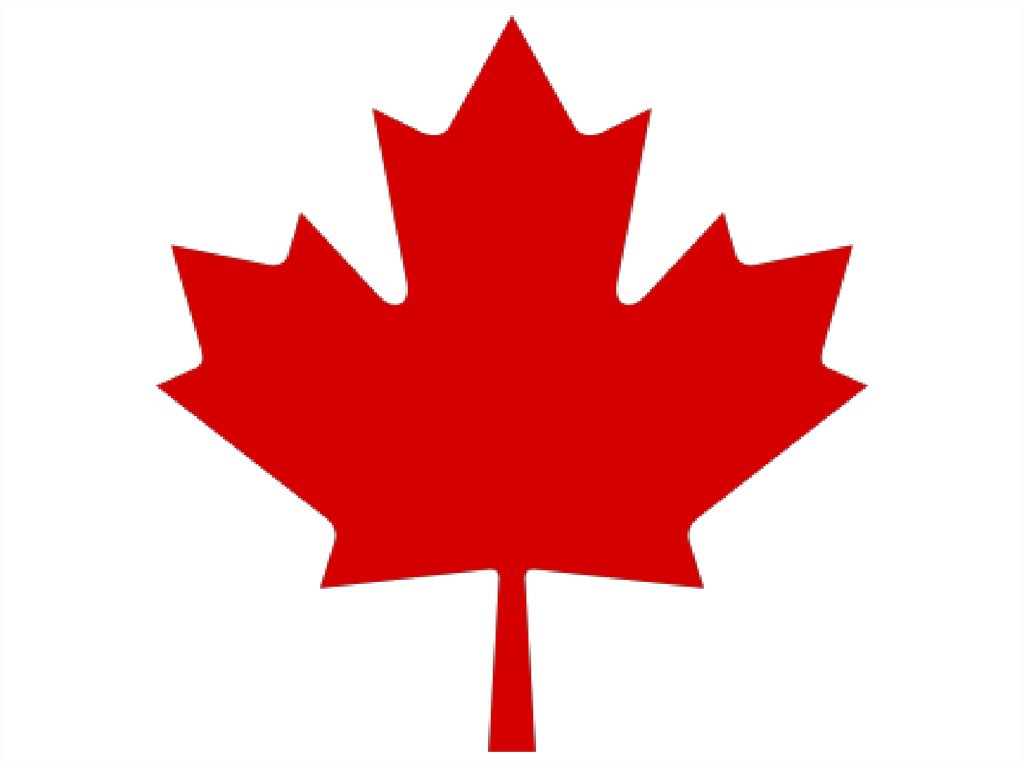 How Did The Maple Leaf Became A Symbol Of Canada