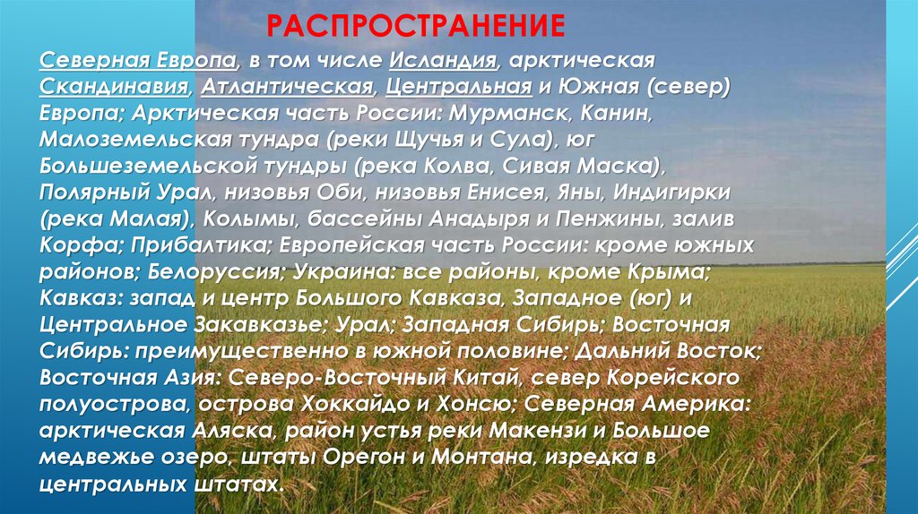 Распространение