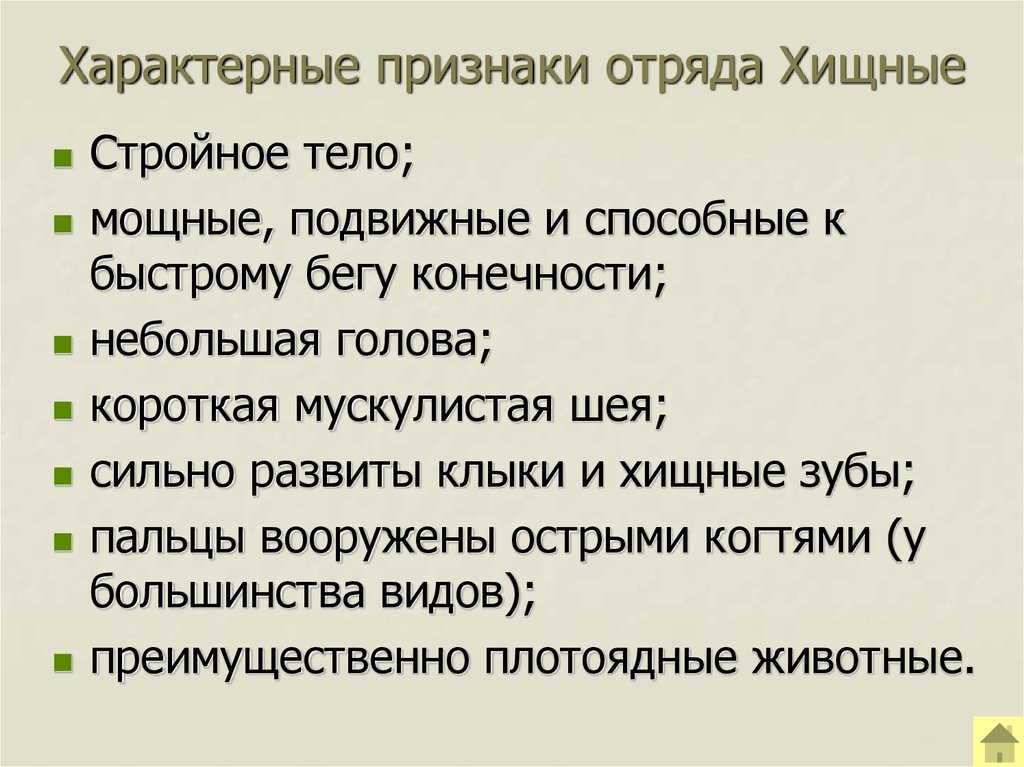 Рассмотрите рисунок 205 на с 250 и охарактеризуйте отличительные черты строения и поведения хищных