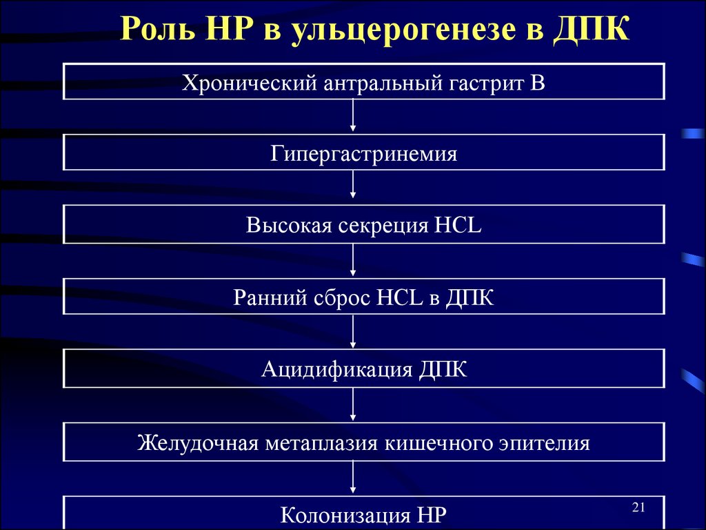 Ульцерогенез. . Роль НР. В хроническом гастрите. Язвенная болезнь желудка и ДПК Факультетская терапия. Хронический гастрит(колонизация НР сомнительная).