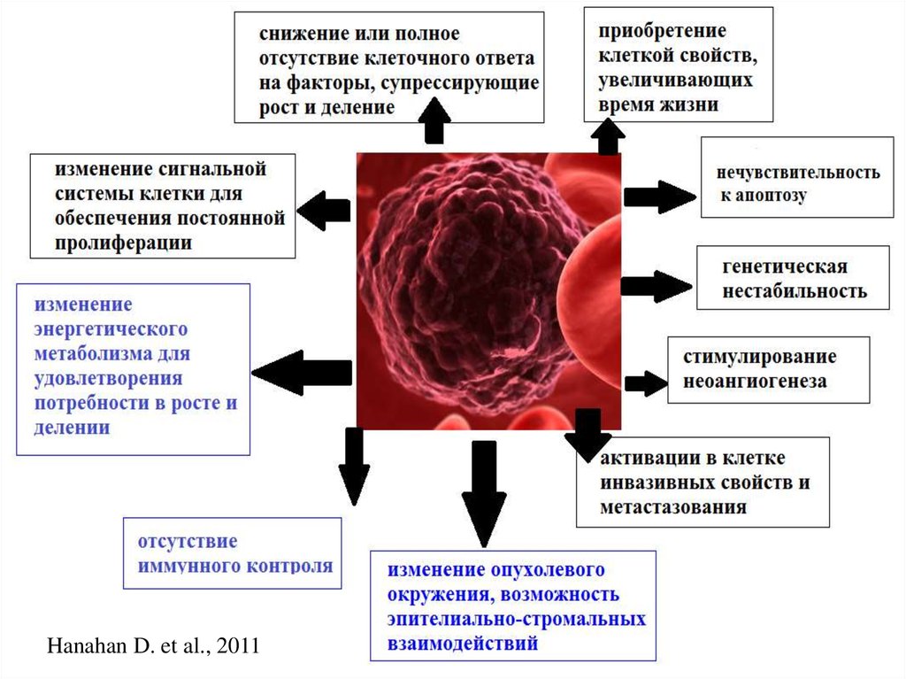 Злокачественные опухоли схема блок