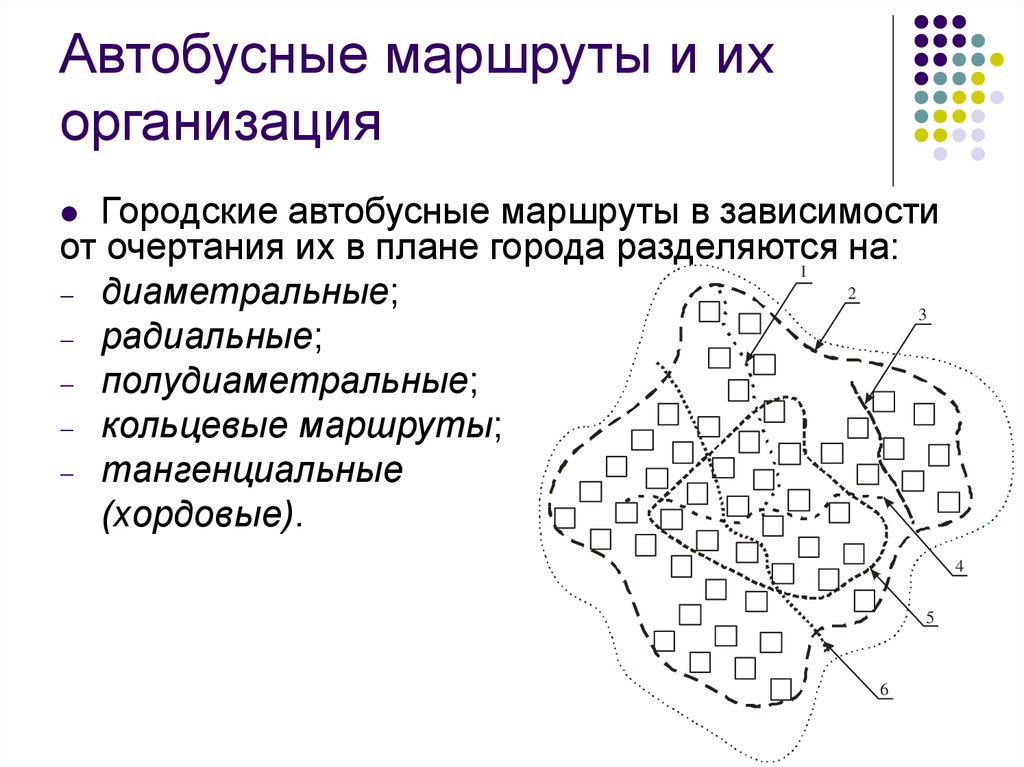 Организация маршрут. Виды автобусных маршрутов кольцевой диаметральный. Автобусные маршруты подразделяются. Автобусные маршруты и их организация. Полудиаметральный маршрут.