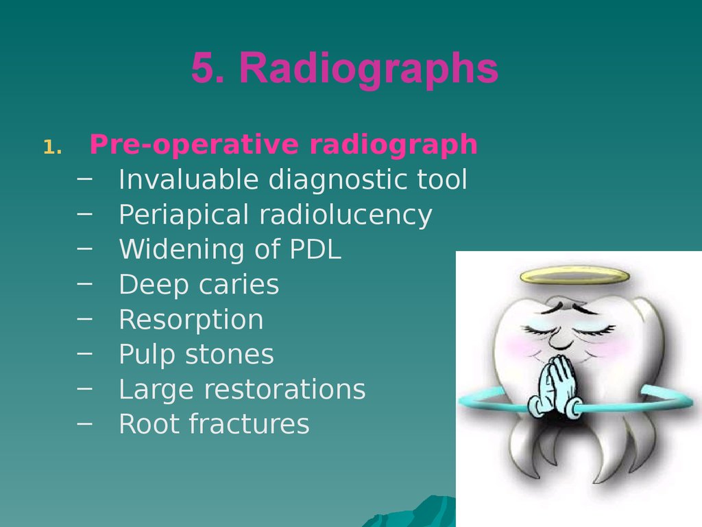 5. Radiographs