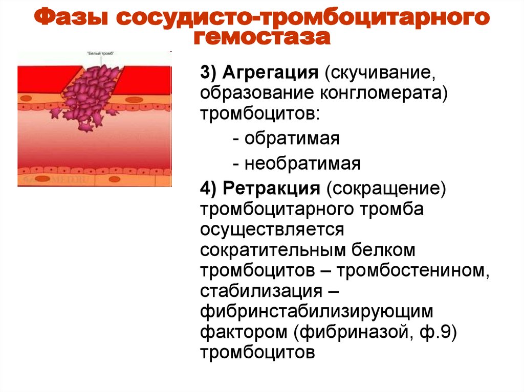 Нарушения сосудисто тромбоцитарного гемостаза