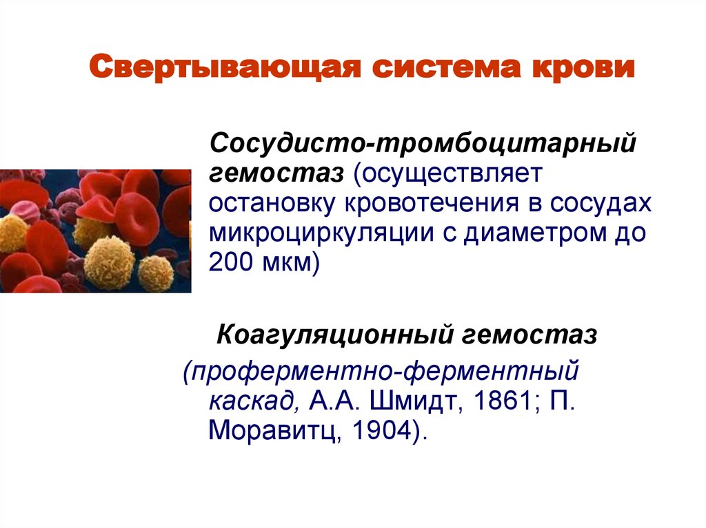 Свертывающая и противосвертывающая система крови презентация