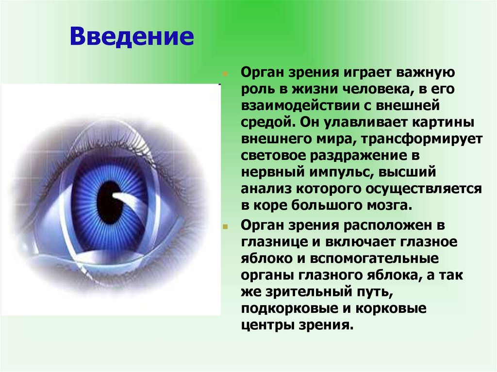 Доклад по физике на тему зрение. Орган зрения. Сообщение на тему орган зрения. Доклад на тему глаза орган зрения. Презентация на тему зрение.