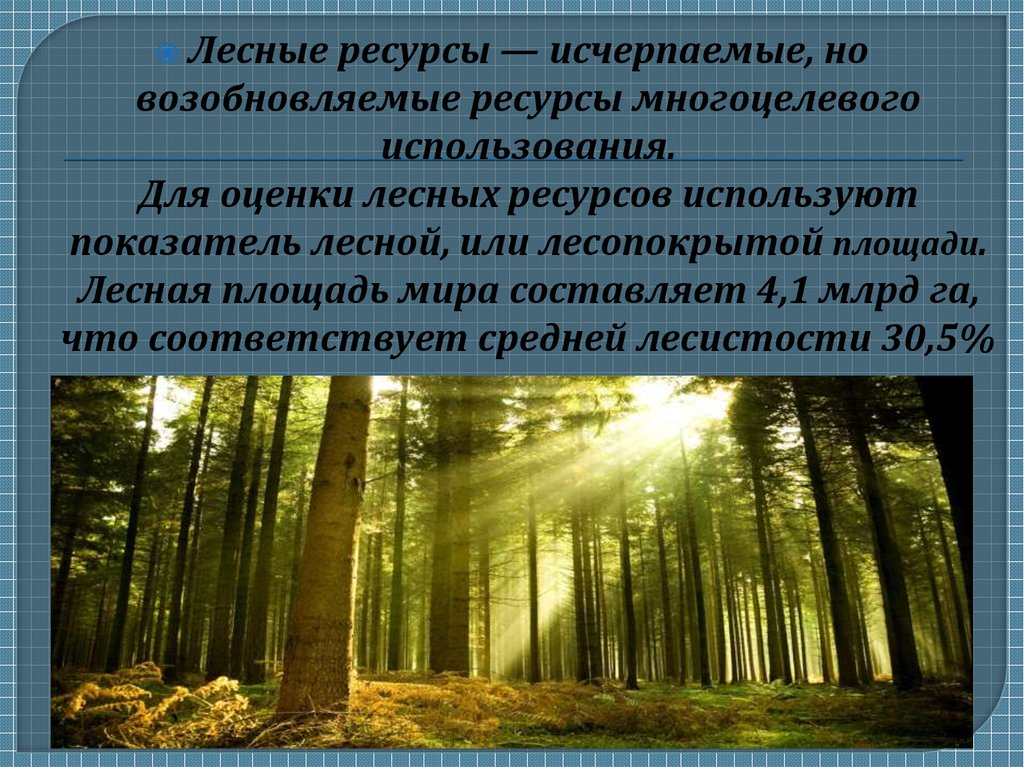 Лесные ресурсы сайт. Лесные ресурсы. Возобновляемые Лесные ресурсы. Лесные ресурсы исчерпаемые возобновимые.