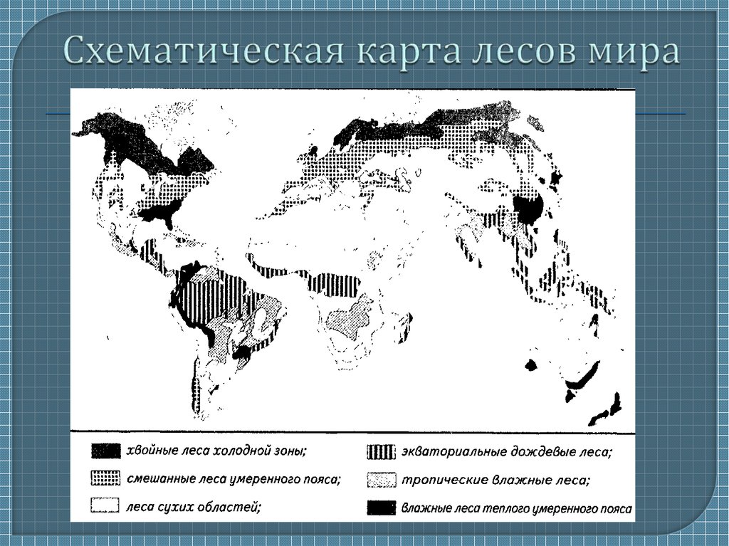 Карта лесов в мире