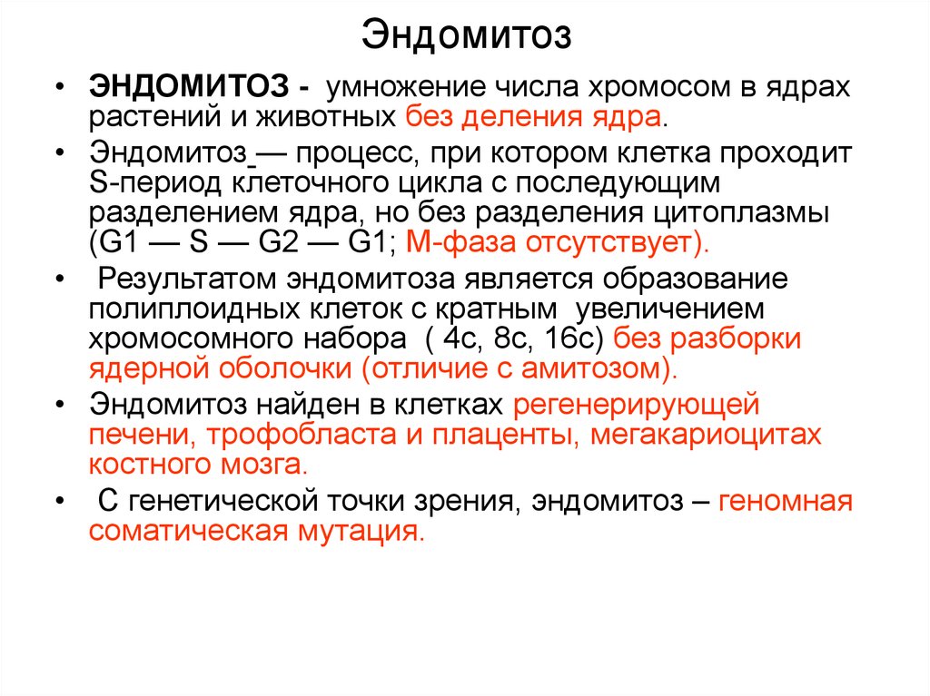 Число хромосом в ядре. Амитоз эндомитоз политения. Митоз, амитоз, эндомитоз, политения. Эндомитоз биологическое значение. Эндомитоз характерен для.