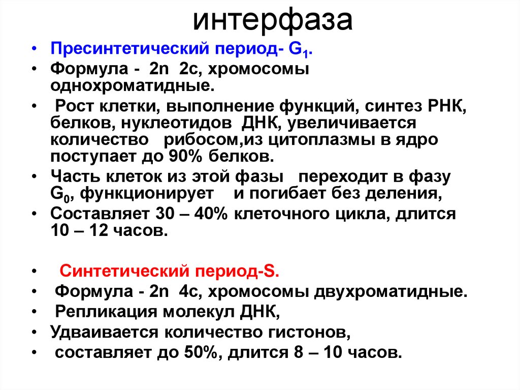 Интерфаза это. Интерфаза g1 s g2. Процессы в g1 периоде интерфазы. G1 период интерфазы набор хромосом. Периоды интерфазы g1 s g2.