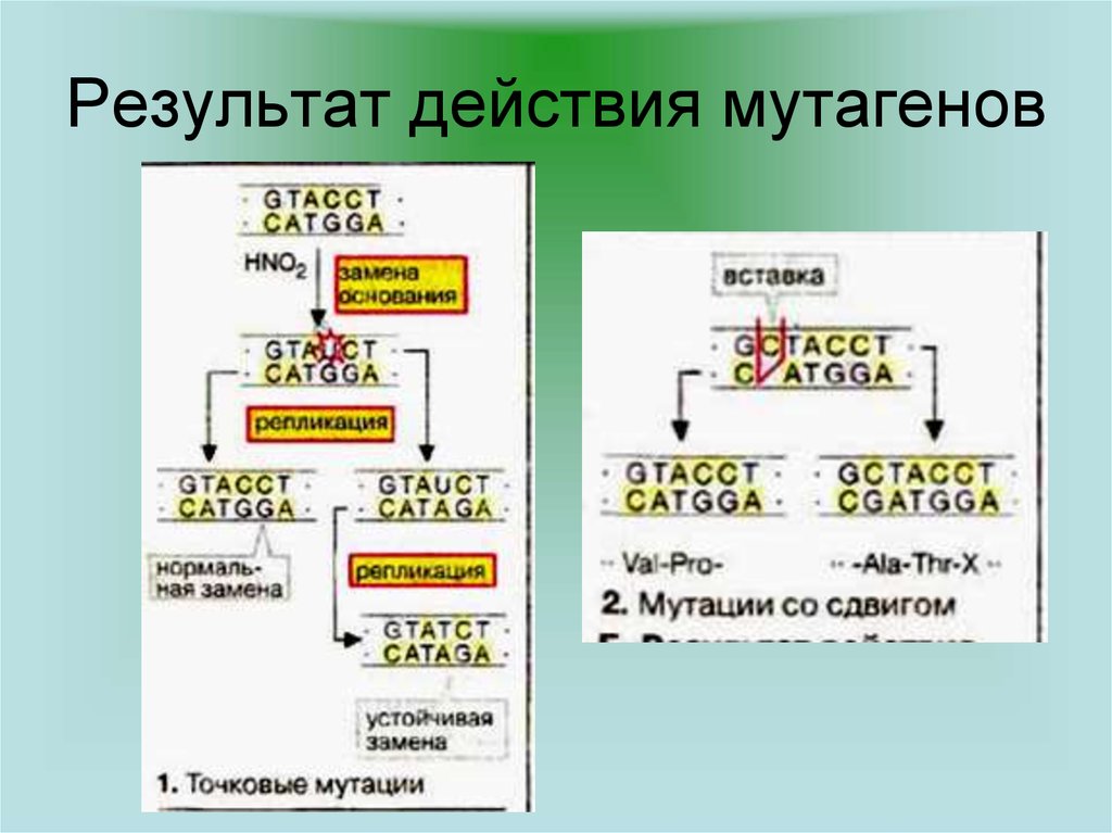 Источники и примеры мутагенов в среде таблица