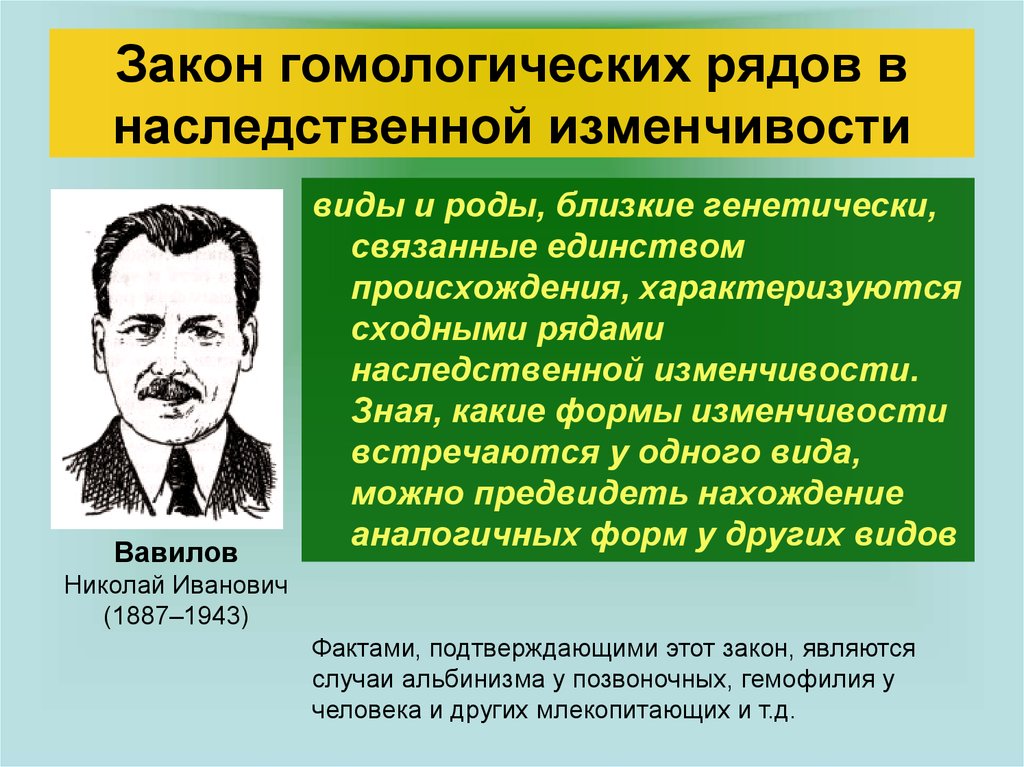 Закон изменчивости. Гомологические ряды наследственной изменчивости н.и Вавилова. Закон гомологических рядов н.и. Вавилова. Закон гомологических рядов наследственной изменчивости. Закон Вавилова о гомологических рядах наследственной изменчивости.