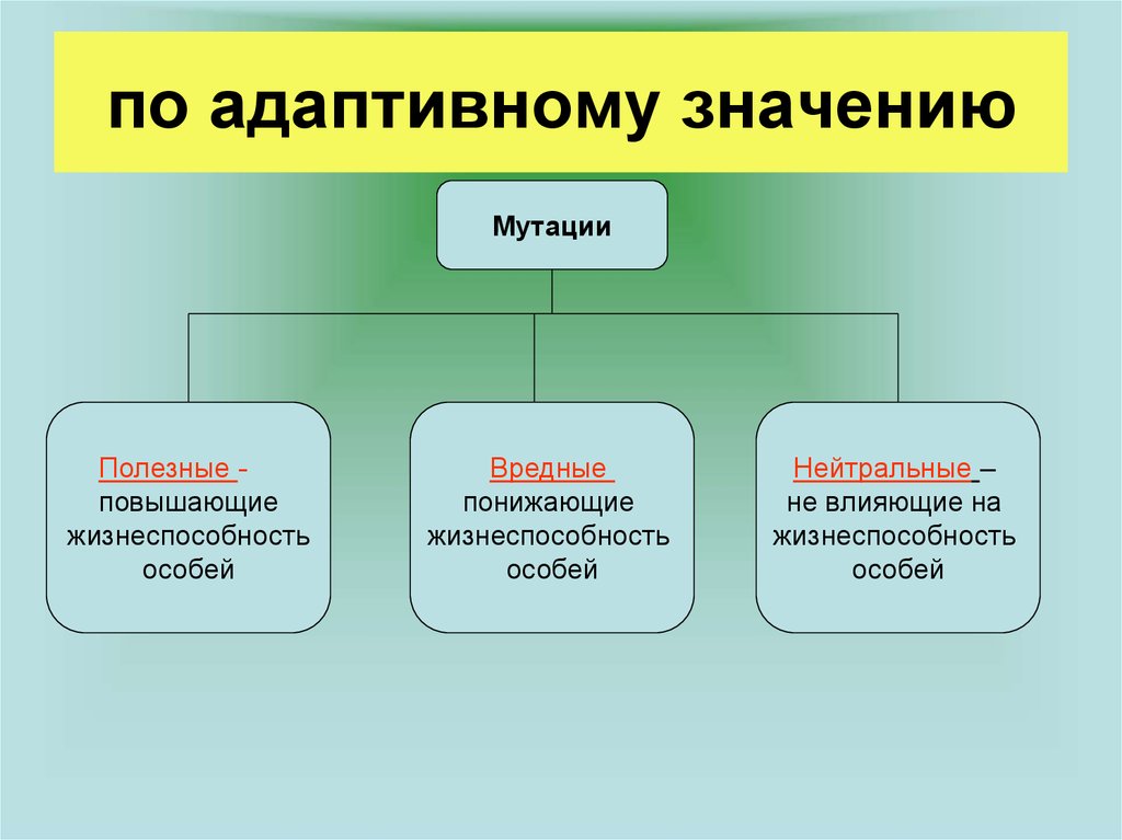 Значения мутации