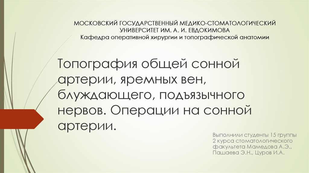 Всеобъемлющий изъять подъязычный призвание. Топографическая анатомия РНИМУ. Кафедра топографической анатомии. Кафедра топографической анатомии РНИМУ. РНИМУ Кафедра топографической анатомии и оперативной хирургии.