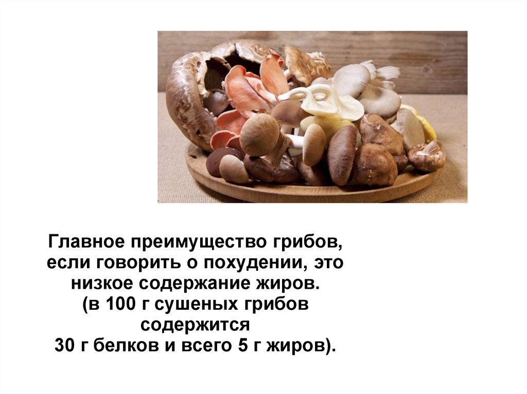В грибах содержится белка. Преимущество грибов. Фунготерапия для похудения. Японские грибы для похудения. В грибах содержатся белки.