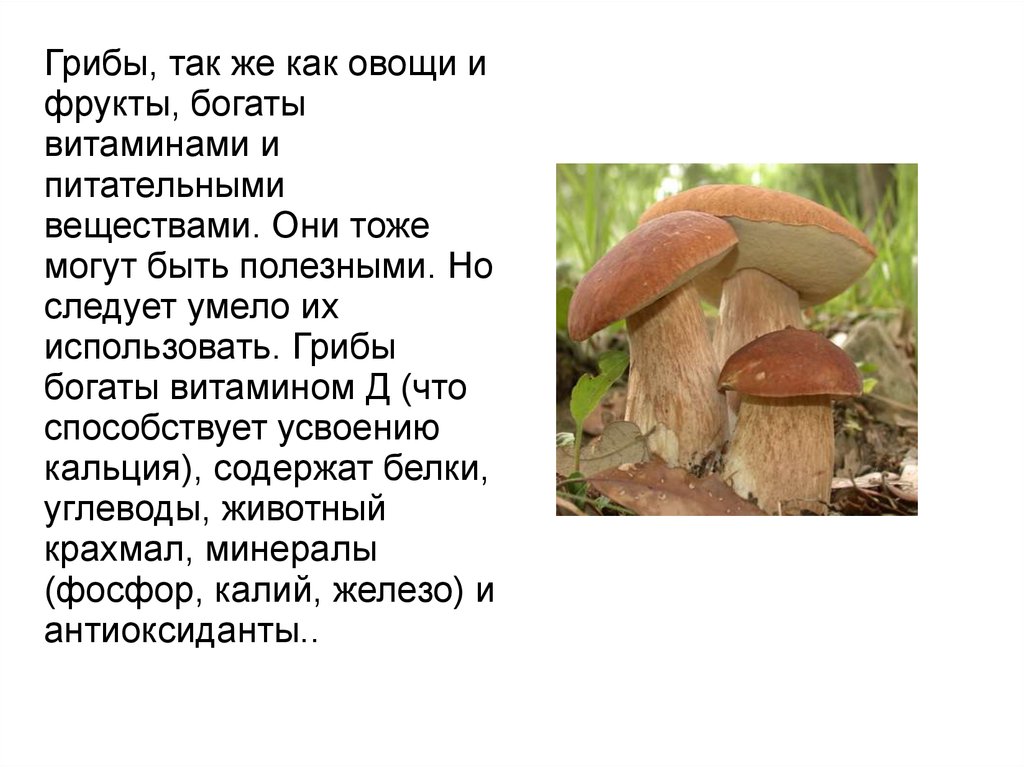 Грибы есть витамины. Питательные вещества грибов. Полезные вещества в грибах. Чем богаты грибы. Витамины белый гриб.