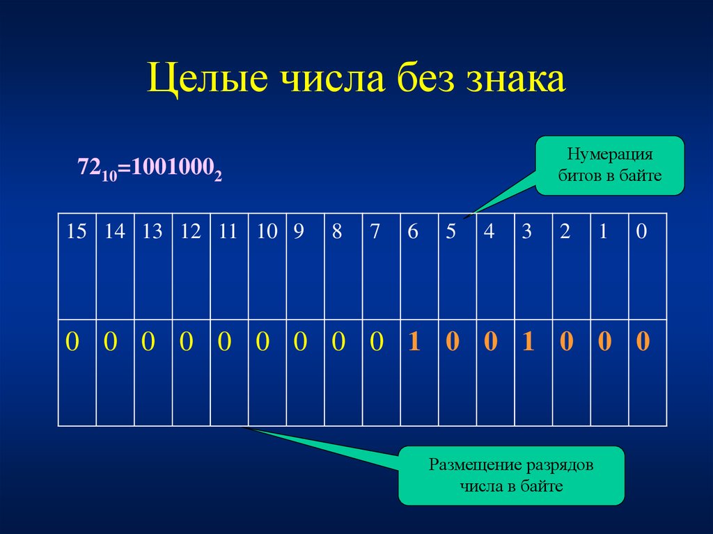 Целое число битов. Нумерация битов в байте. Нумерация бит в байте. Целые числа без знака. Биты нумеруются.