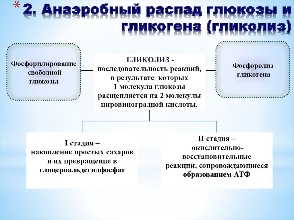 2. Анаэробный распад глюкозы и гликогена (гликолиз)