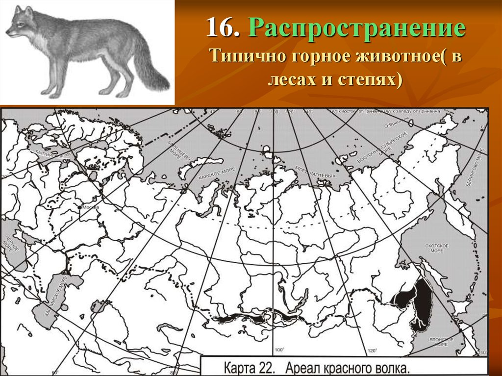 Среда обитания волка 5 класс биология впр