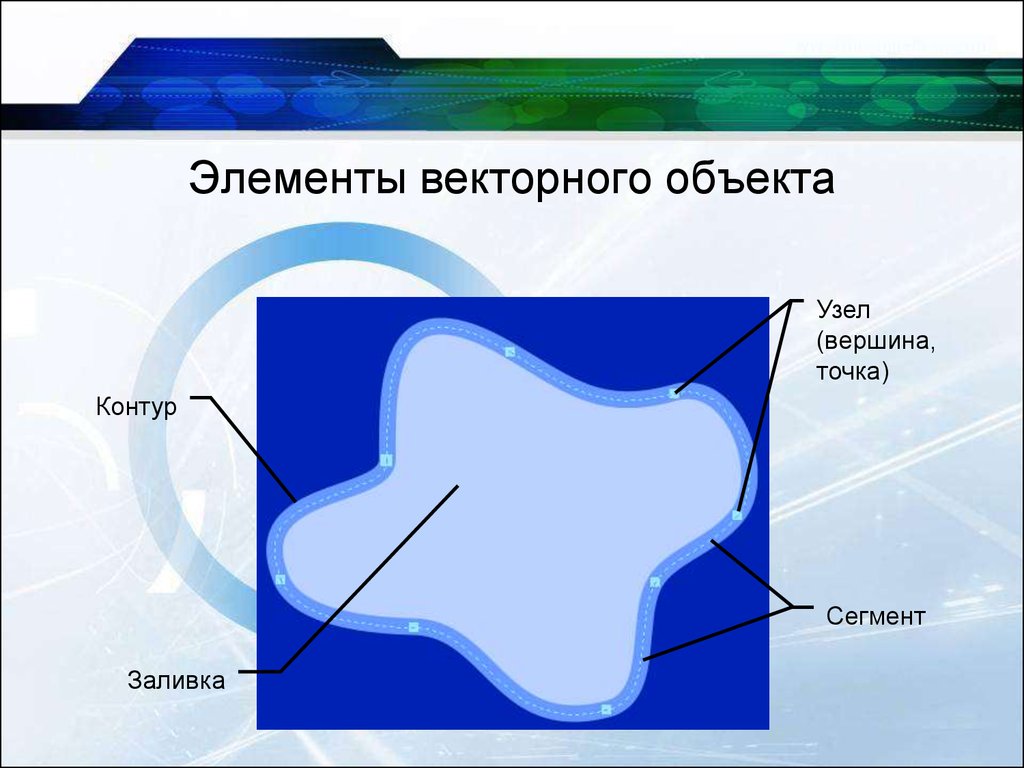 Объекты векторного изображения. Контурные объекты векторной графики. Элемента векторного контура. Заливка в векторной графике. Компоненты векторного контура.