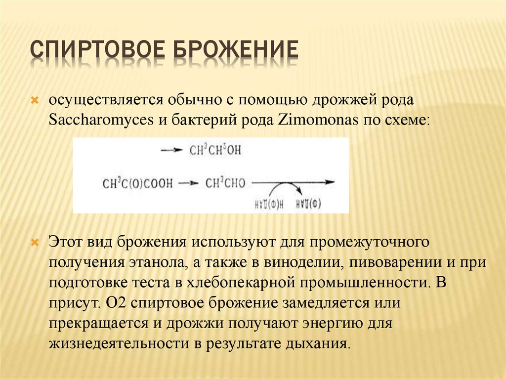 Спиртовое брожение. Спиртовое брожение дрожжей. Процесс спиртового брожения. Продукты спиртового брожения.