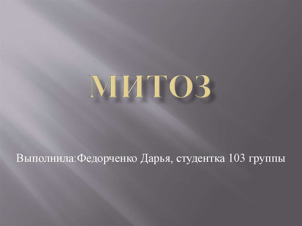 Митоз. Этапы митоза - презентация онлайн