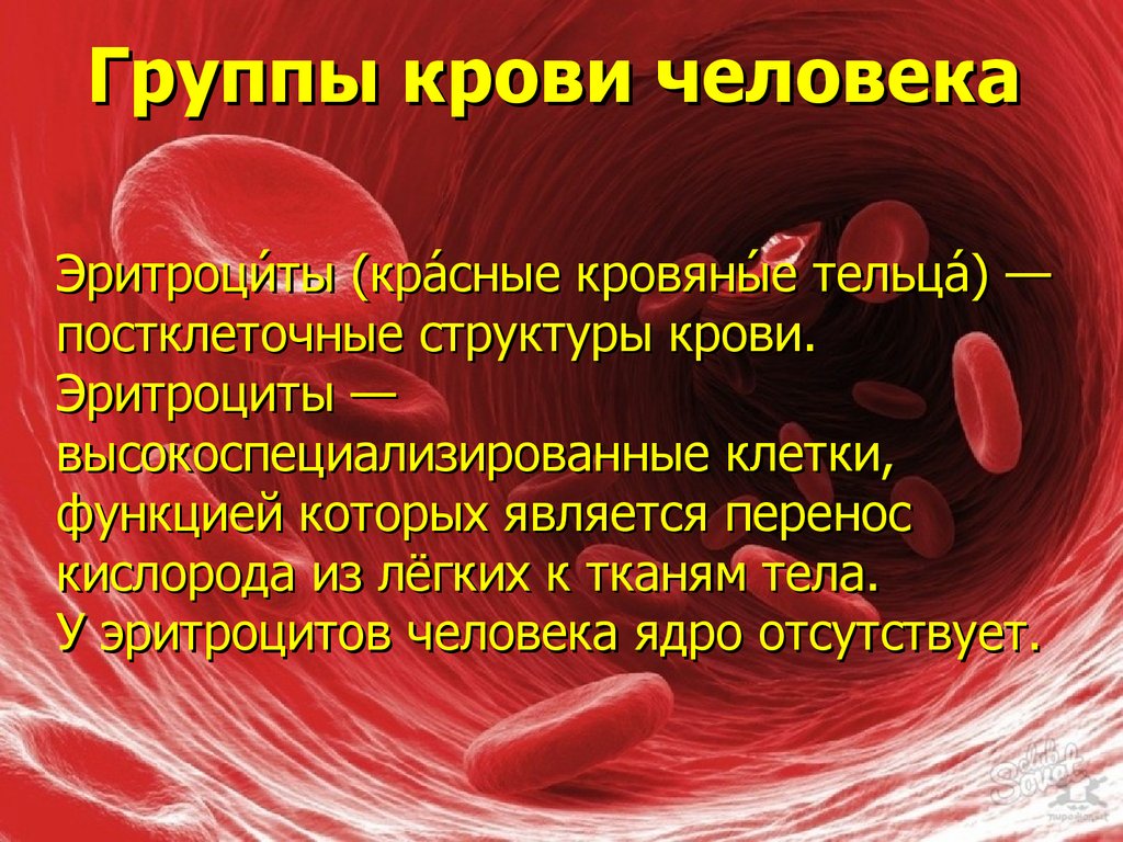 Группы крови и характер человека проект
