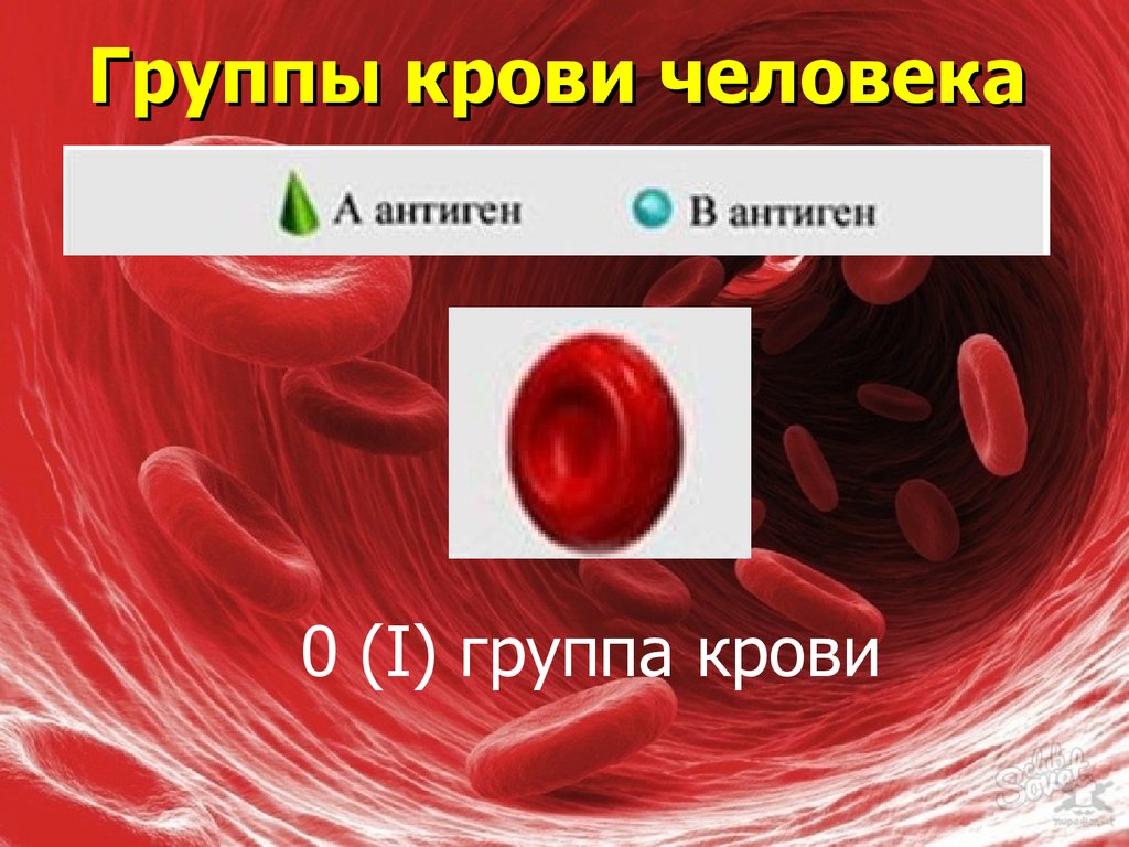 1 группа крови женщины