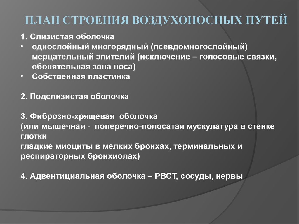 Путь особенности. Структура воздухоносных путей. Особенности строения воздухоносных путей. План строения воздухоносных путей. Строение и функции воздухоносных путей таблица.