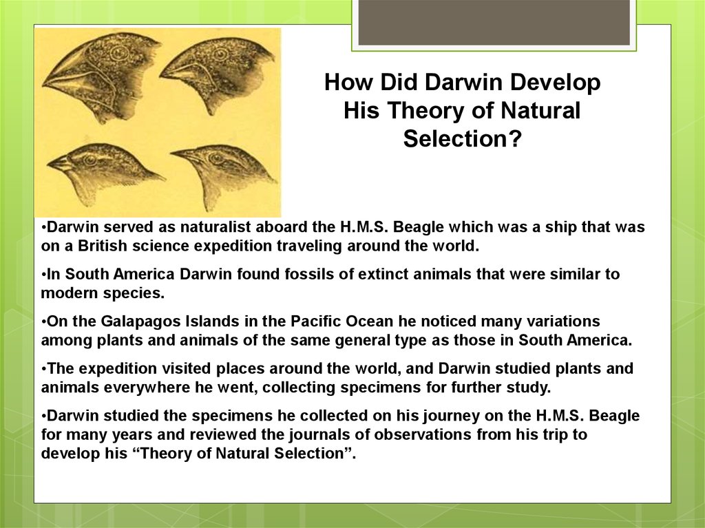 what is charles darwins theory of natural selection