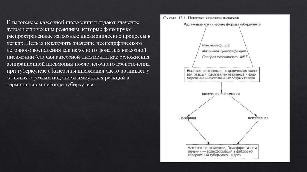 Патогенез пневмонии схема