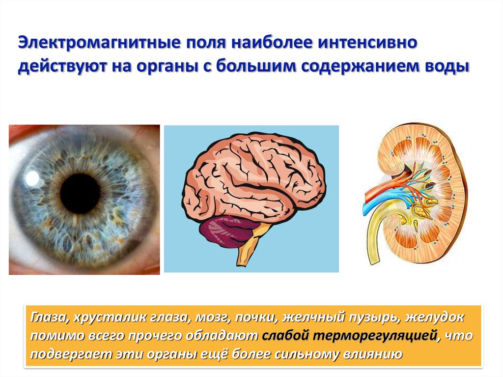 Презентация электромагнитное излучение влияние на организм человека