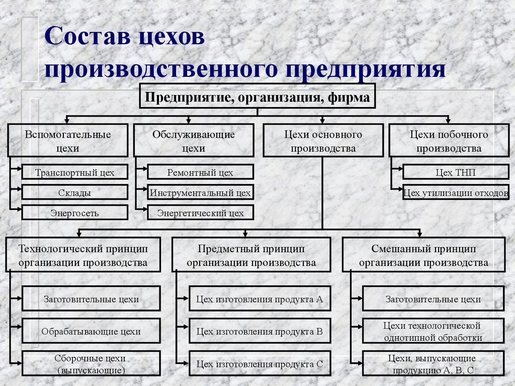 Какой вид относится к основному. Структура основного цеха. Производственная структура цеха. Основные и вспомогательные цеха предприятия. Основные производственные цеха.