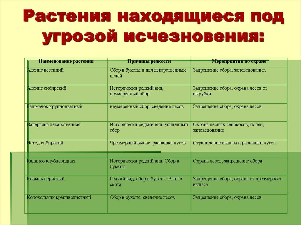 Находящимися под угрозой исчезновения. Растения под угрозой исчезновения. Оастанря находящиеся под угрозой исчезновения. Растения находящиеся под угрозой исчезновения. Исчезающие растения таблица.