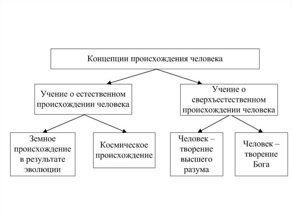 Понятие появление. Концепции происхождения человека в философии. Концепции появления человека. Основные философские концепции происхождения человека. Появление философских концепций человека.