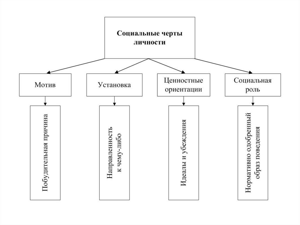 3 социальные особенности человека. Социальные черты личности. Социальные черты индивидуальности. Основные социальные черты личности. Социально значимые черты личности.