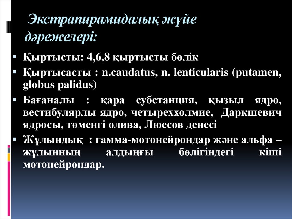 Что такое путамен 8 букв