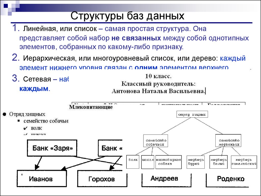 Теория структуры данных. Структура базы данных определяется Информатика. Структуру организации представленной базы данных. Набор данных БД структуры. Линейные структуры данных примеры.