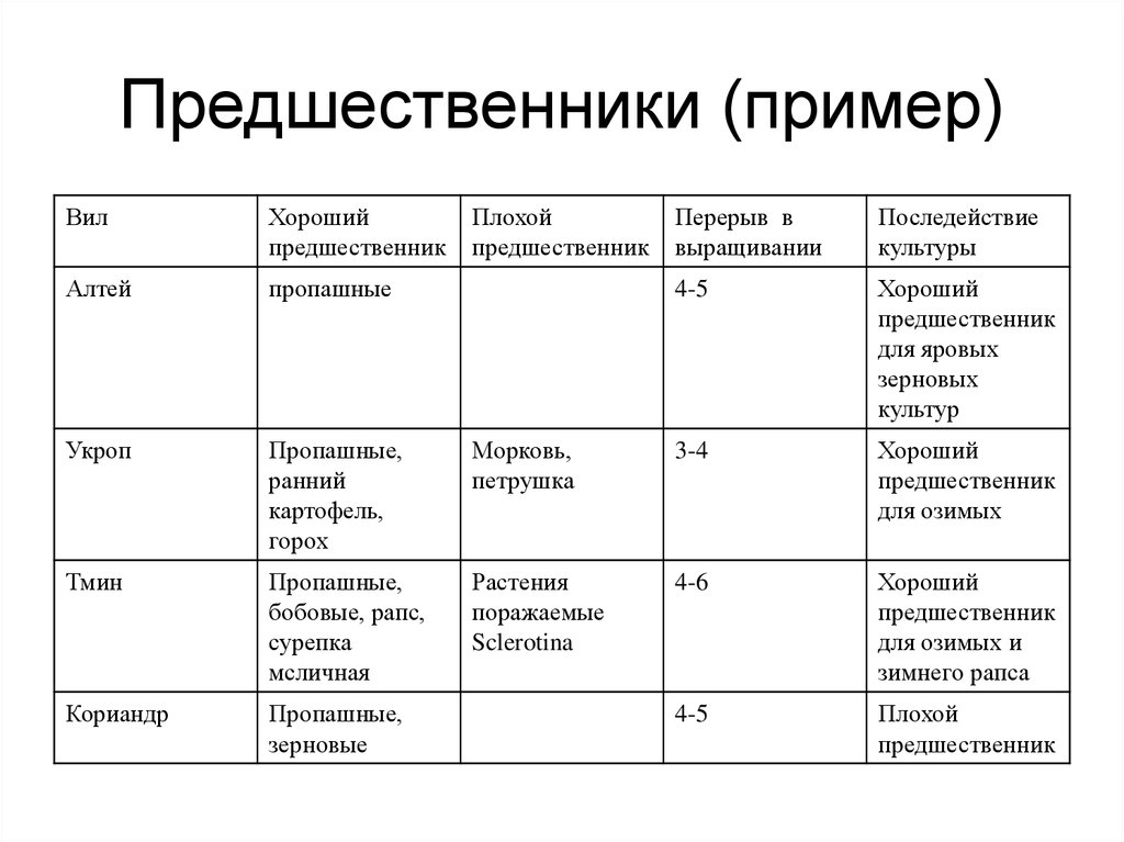 Предшественники в проекте это