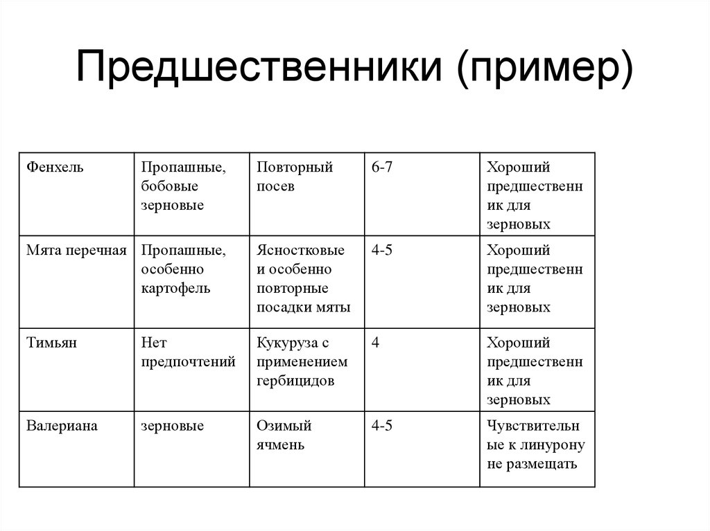 Предшественниками 2. Примеры предшественников. Пример проекта предшественник. Предшественники в проекте это. Предшественники вид.