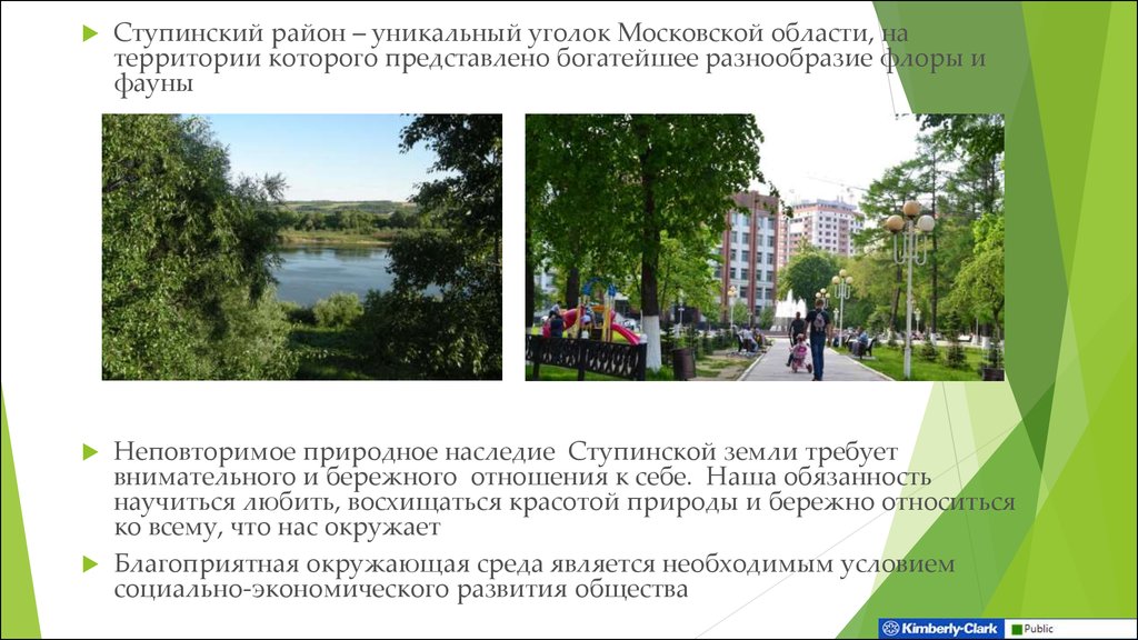 Фото Природы Московской