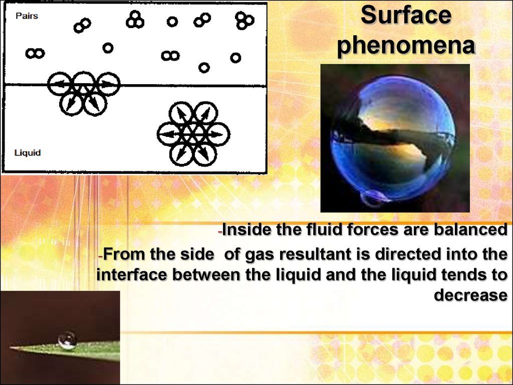 fun physics phenomena