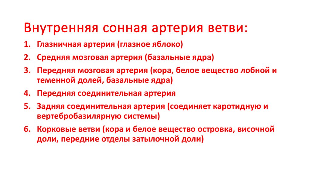 Сонные ветви