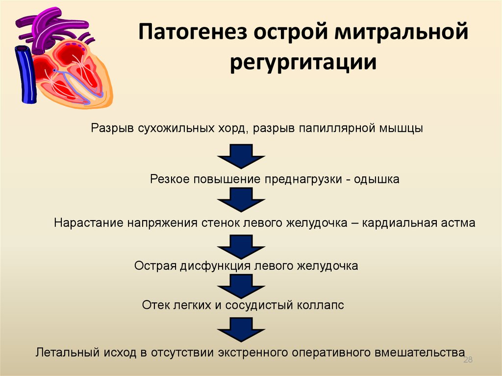 Патогенез острой