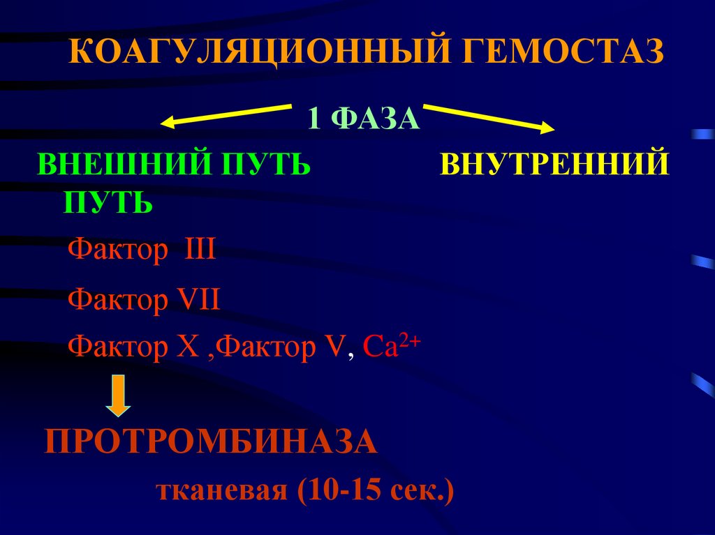 Коагуляционный гемостаз презентация