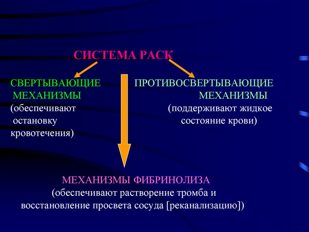 Свертывающая и противосвертывающая система крови презентация