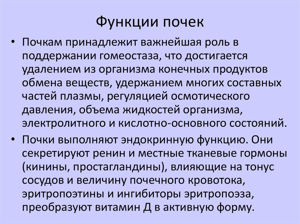 Функции почек презентация