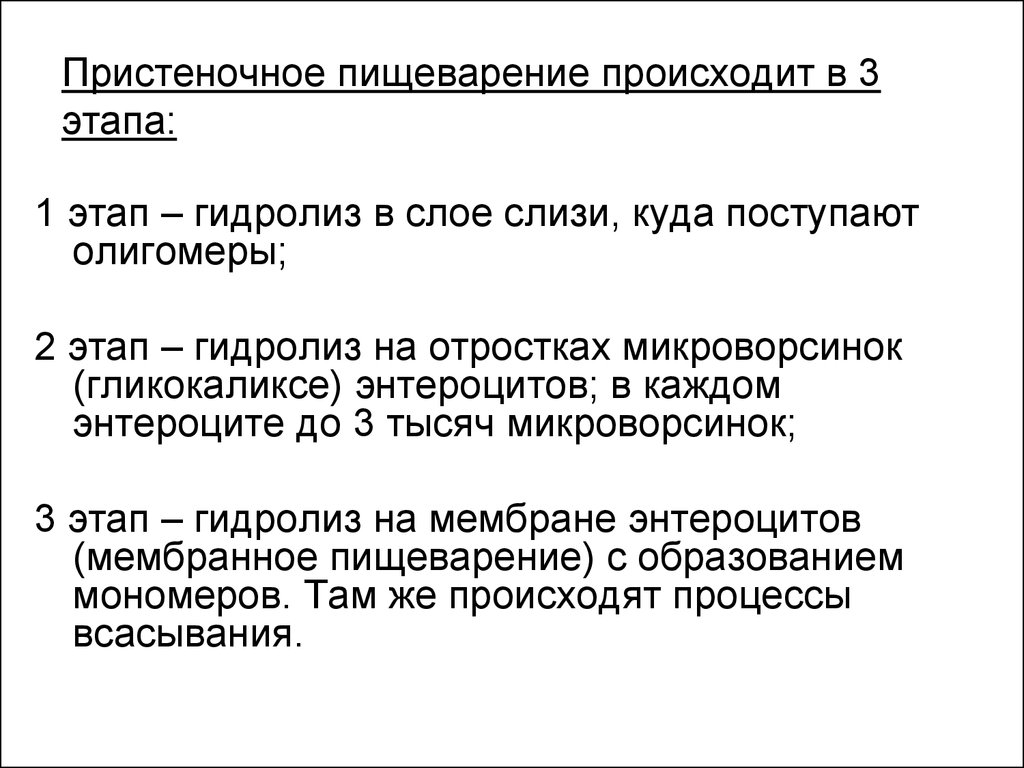 В 3 этапа 1. Этапы пристеночного пищеварения. Престеночное пещеваре. Пристеночное пищеварение физиология. Этапы пищеварения в кишечнике.