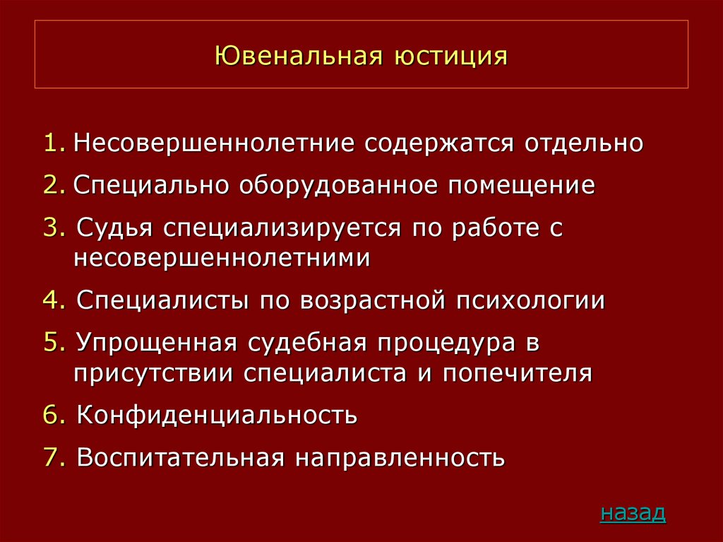 Индивидуальный проект ювенальная юстиция